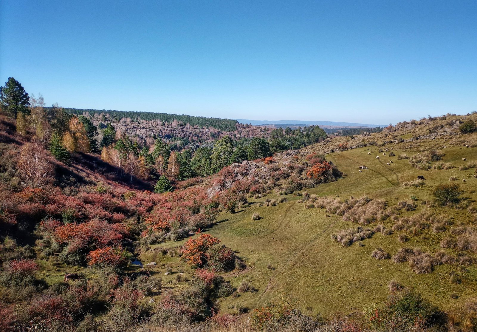 Trekking Cruce Alpino, La Cumbrecita a Villa Alpina, Córdoba